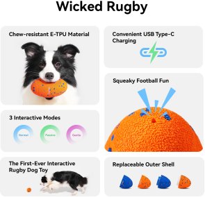 Іграшка Cheerble Wicked Rugby Bright Orange (CWQ06O)