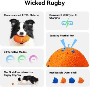 Фото: Інтерактивна електромеханічна іграшка Cheerble Wicked Rugby Bright Orange (CWQ06O) № 5 | KTC