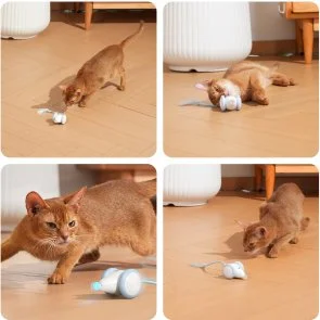 Фото: Інтерактивна розумна іграшка-мишка для котів Cheerble Wicked Mouse Blue (CWJ03B) № 16 | KTC