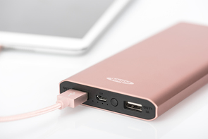 Батарея універсальна EDNET Power Bank 10000mAh Rose Gold (31900)