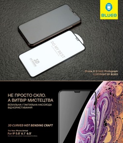 Захисне скло Blueo for iPhone X 3D Black