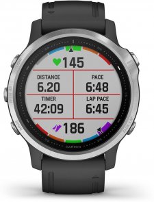 Смарт годинник Garmin Fenix 6S 42mm Silver with Black Band (010-02159-01)