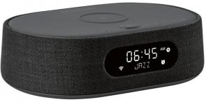 Smart колонка Harman Kardon Citation Oasis Black (HKCITAOASISBLKEU)