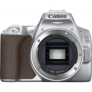 Цифрова фотокамера дзеркальна Canon EOS 250D kit 18-55mm IS STM Silver (3461C003)