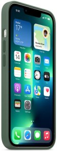 Чохол Apple for iPhone 13 Pro - Silicone Case with MagSafe Eucalyptus (MN673)