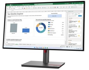 Монітор Lenovo ThinkVision P27h-30 Raven Black (63A1GAT1UA)