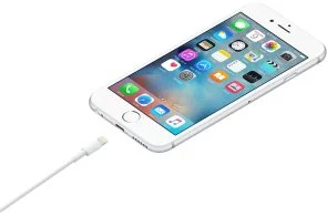 Фото: Кабель Apple USB / Lightning 1m White (MUQW3) № 2 | KTC