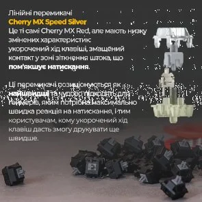 Фото: Клавіатура Ducky One 3 Cherry MX Speed Silver RGB ENG/UKR Black (DKON2108ST-PUAPXCLAWSC1) № 7 | KTC