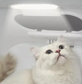 Фото: Сушка PETKIT AIRSALON Max PRO Smart Pet Dryer (PD10-PRO) № 8 | KTC