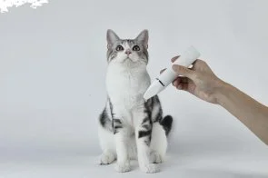 Фото: Тример PETKIT 2 in 1 Pet Trimmer Pro (PK413) № 13 | KTC