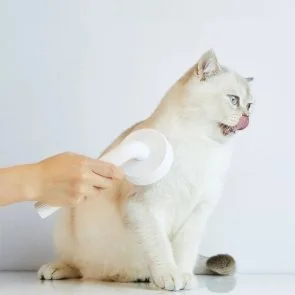 Фото: Щітка для грумінгу тварин PETKIT Pet Grooming Brush2 (PETKIT-PGB2) № 6 | KTC