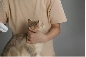 Кусачки PETKIT LED Pet Nail Clipper PRO (PK2302)