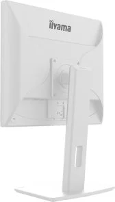 Фото: Монітор iiyama ProLite B1980S-W1 White - 19" TN+Film / 1280×1024 / 75 Гц / Pivot / HAS № 10 | KTC