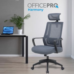 Крісло OfficePro Harmony OC310-B-G-G Black/Gray
