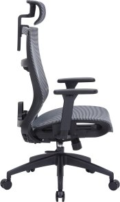 Крісло OfficePro Balance OC620 Black/Dark Gray (OC620-B-DG-DG)