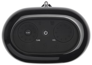 Портативна колонка JBL Tuner XL FM Black (JBLTUNERXLBLKEUNA)