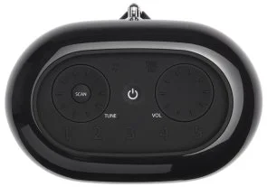Портативна колонка JBL Tuner XL FM Black (JBLTUNERXLBLKEUNA)