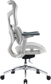 Крісло SIHOO Doro S100 White (S100-M302)
