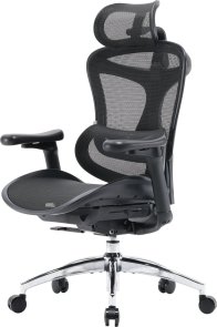 Крісло SIHOO Doro C300L Black (DORO-C300L-A3-101)
