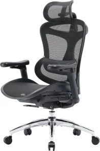 Фото: Крісло SIHOO Doro C300L Black (DORO-C300L-A3-101) № 2 | KTC