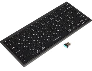 Клавіатура компактна A4tech Fstyler FBX51C Grey