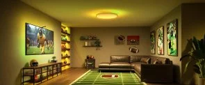 Фото: Світильник Govee 38cm Smart Ceiling Light Pro RGBICWW WI-FI/Bluetooth White (H60A6C01) № 6 | KTC