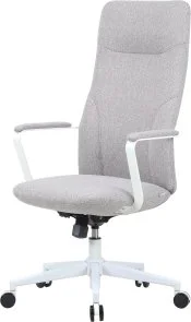 Фото: Крісло OfficePro Shift OC545G Gray № 3 | KTC