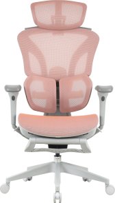 Крісло OfficePro Elite OC950GLP Gray/Light Pink