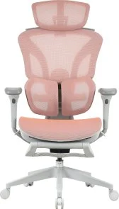 Фото: Крісло OfficePro Elite OC950GLP Gray/Light Pink № 4 | KTC