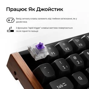 Фото: Клавіатура Keychron K2 HE Gateron Magnetic Switch RGB Black (K2H-F1-UA) № 11 | KTC