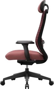 Фото: Крісло OfficePro Omnis OC640R Burgundy № 5 | KTC