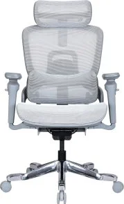 Фото: Крісло OfficePro Vionis OC133G Grey № 2 | KTC