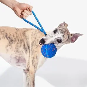 Фото: Інтерактивна електромеханічна іграшка Cheerble Wicked Ball Air Rope Royal Blue (CWQ03B) № 4 | KTC