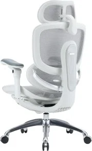 Фото: Крісло SIHOO C300 Pro V2 White (C300-PRO-V2-B102) № 4 | KTC