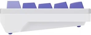 Фото: Клавіатура Proove Gaming Aress KTT AquaPrime Magnetic USB White/Purple (MKAR00022417) № 7 | KTC
