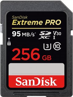 Карта пам'яті SanDisk V30 SDXC 256 ГБ (SDSDXXG-256G-GN4IN)