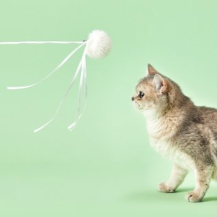 Іграшка Petkit Cat Wand