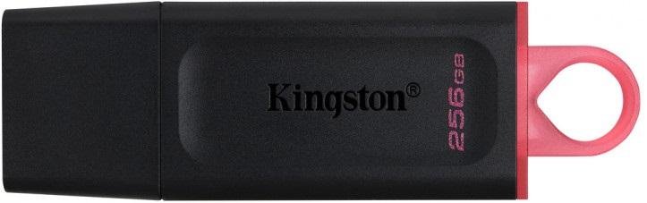 Флешка USB Kingston DataTraveler Exodia 256GB Black/Pink (DTX/256GB)