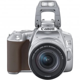 Цифрова фотокамера дзеркальна Canon EOS 250D kit 18-55mm IS STM Silver (3461C003)