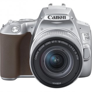 Цифрова фотокамера дзеркальна Canon EOS 250D kit 18-55mm IS STM Silver (3461C003)