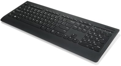Клавіатура Lenovo Professional Wireless Black (4Y41D64797)