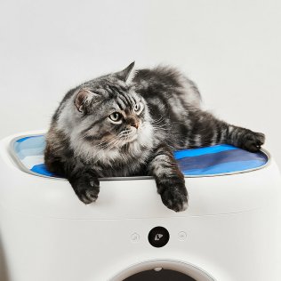 Килимок PETKIT Cooling for Pura X Auto Cat Litter Box (696260)
