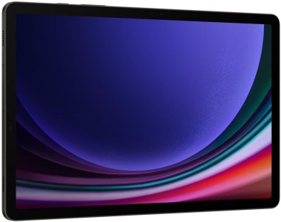 Планшет Samsung Galaxy Tab S9 WiFi 8/128GB Graphite (SM-X710NZAASEK)