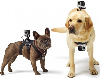 Кріплення на собаку GoPro Fetch