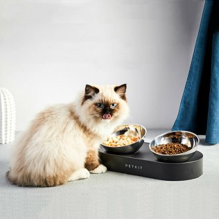 Годівниця PETKIT Fresh Nano-Metal Pet Cat TWO Bowl Stand (666123)