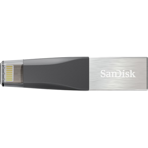 Флешка USB SanDisk iXpand Mini 32 ГБ (SDIX40N-032G-GN6NN)