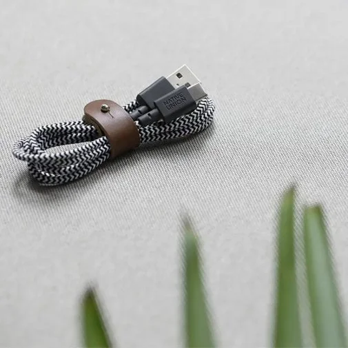 Фото: Кабель Native Union Belt Zebra AM / Type-C 1.2m (BELT-AC-ZEB-NP) № 11 | KTC