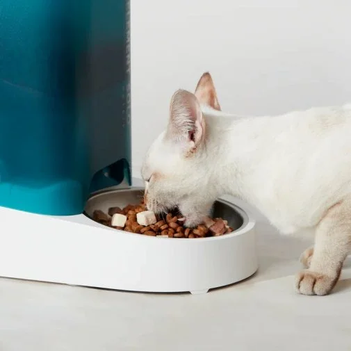 Фото: Смарт годівниця PETKIT Fresh Element SOLO White (713106) № 14 | KTC