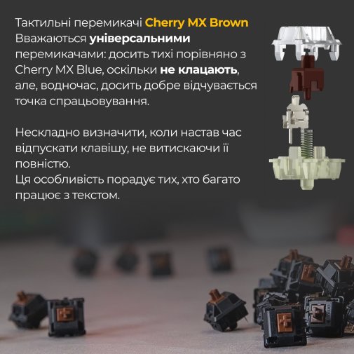 Клавіатура Ducky One 3 Cherry MX Brown RGB ENG/UKR Black (DKON2108ST-BUAPXCLAWSC1)