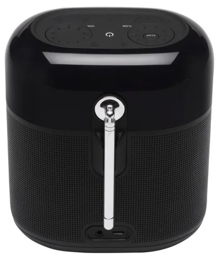 Портативна колонка JBL Tuner XL FM Black (JBLTUNERXLBLKEUNA)